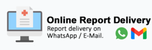 Report delivery on WhatsApp-E-Mail